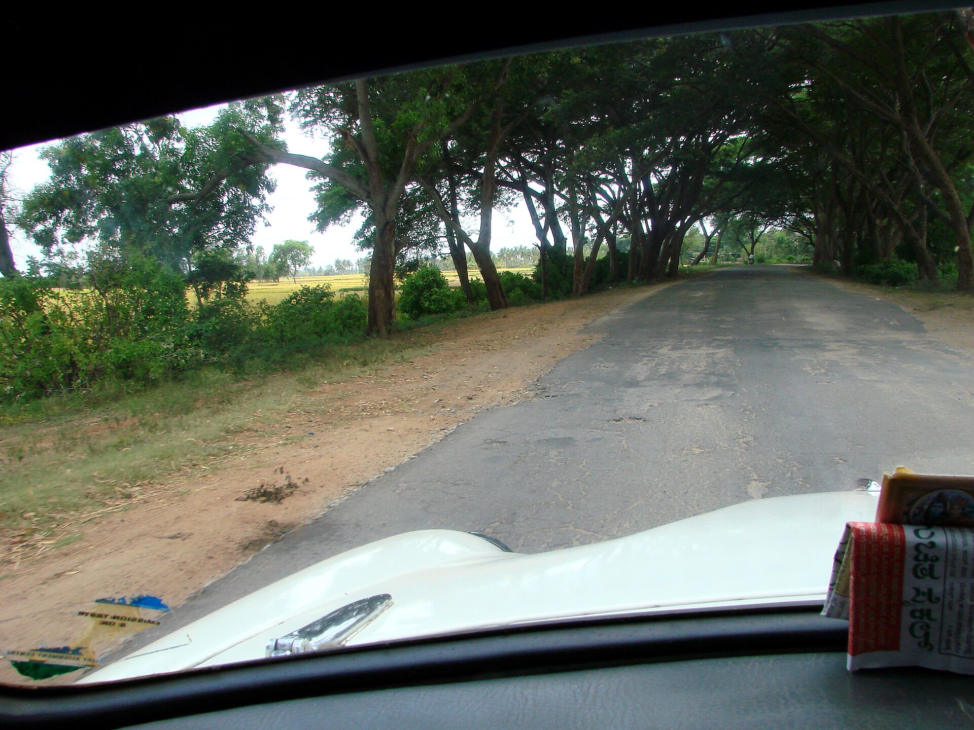 Cab service — a car winding along a tree-lined country road, seen through the windscreen