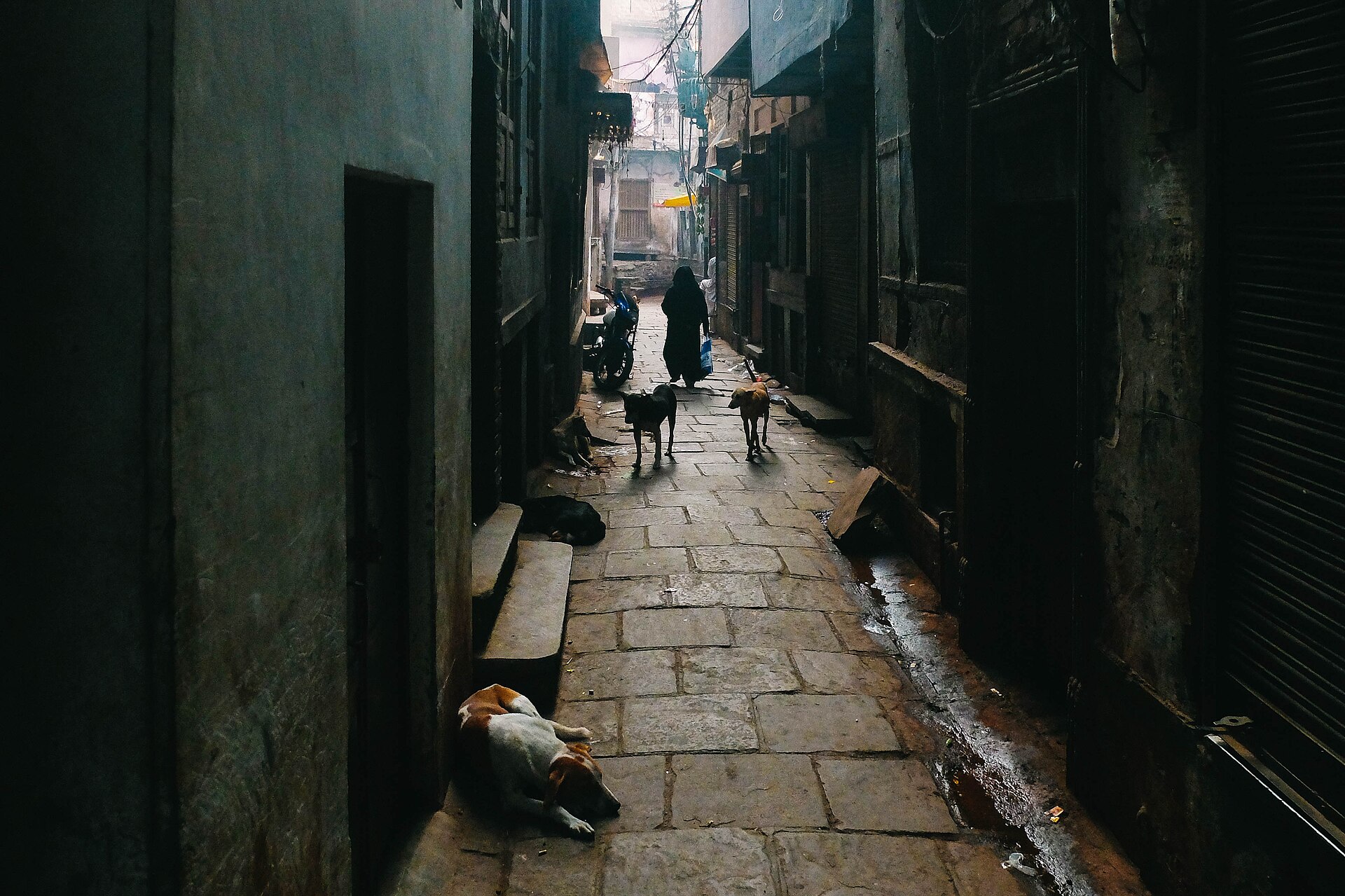 Guides — a narrow stone-paved lane in the old city, a woman walking ahead in the early light