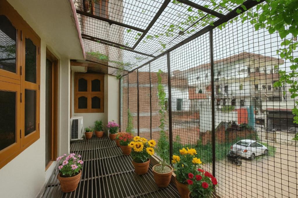 Pratham, Varanasi: mesh-screened verandah lined with terracotta pots of marigolds, chrysanthemums and gerberas, slatted floor and carved wooden doors, rooftops beyond